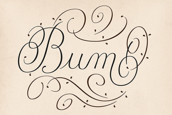 Bum cover image